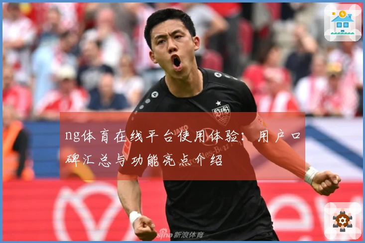 ng体育在线平台使用体验：用户口碑汇总与功能亮点介绍
