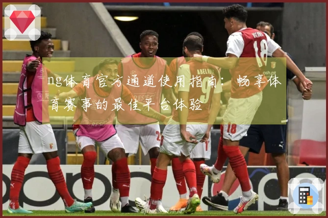 ng体育官方通道使用指南：畅享体育赛事的最佳平台体验