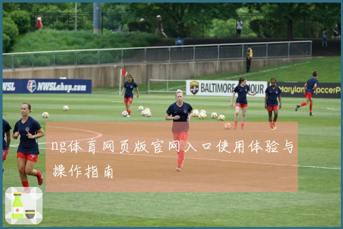 ng体育网页版官网入口使用体验与操作指南